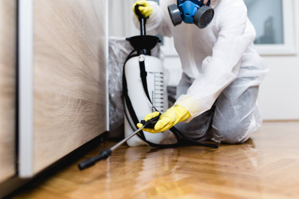 Best Local Pest Control Services  in New Iberia, LA