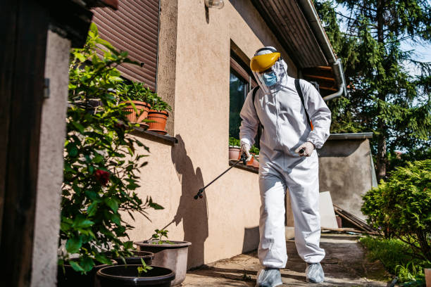 Best Local Pest Control Services  in New Iberia, LA