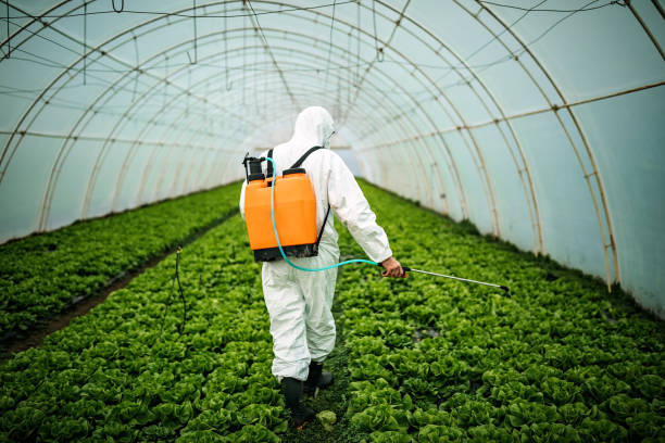 Best Pest Prevention Services  in New Iberia, LA