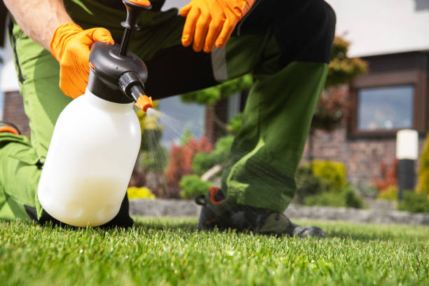 Best Residential Pest Control  in New Iberia, LA
