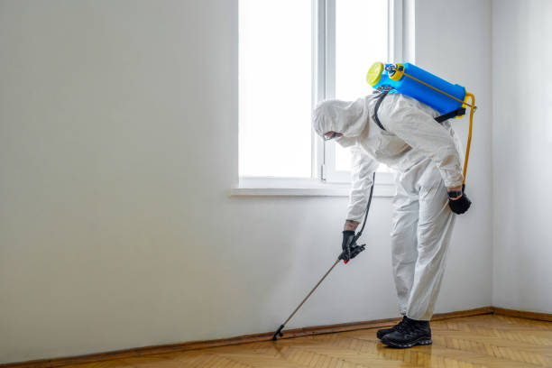 Best Wildlife Control Services  in New Iberia, LA