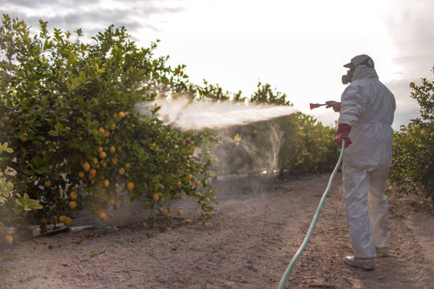 Best Bed Bug Extermination  in New Iberia, LA