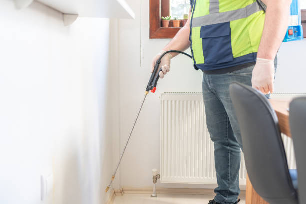 Best Ant Control Services  in New Iberia, LA
