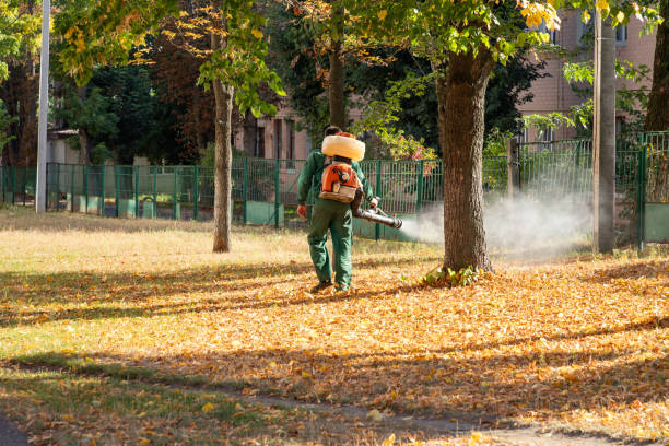 Professional Pest Control in New Iberia, LA