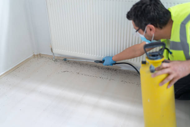 Best Mosquito Control Services  in New Iberia, LA